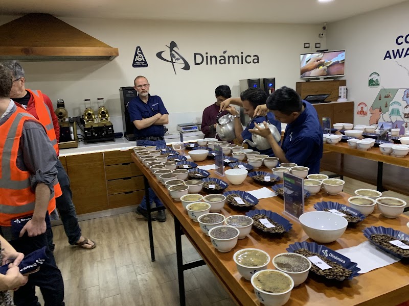 Mountain Bird Coffee & Tea Company