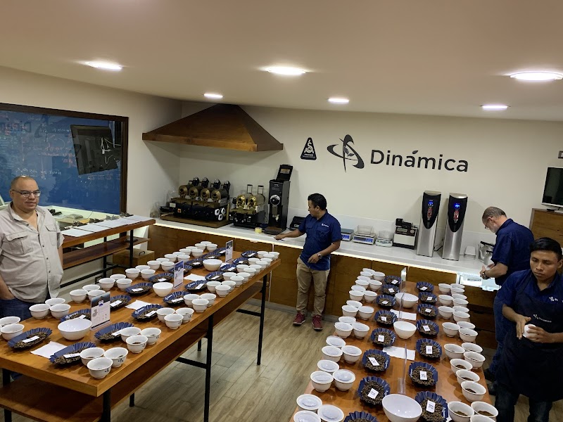 Mountain Bird Coffee & Tea Company