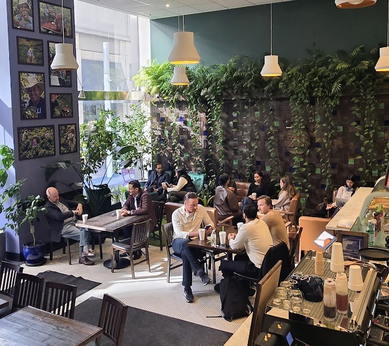 Coffee Bodega Farm-to-Table