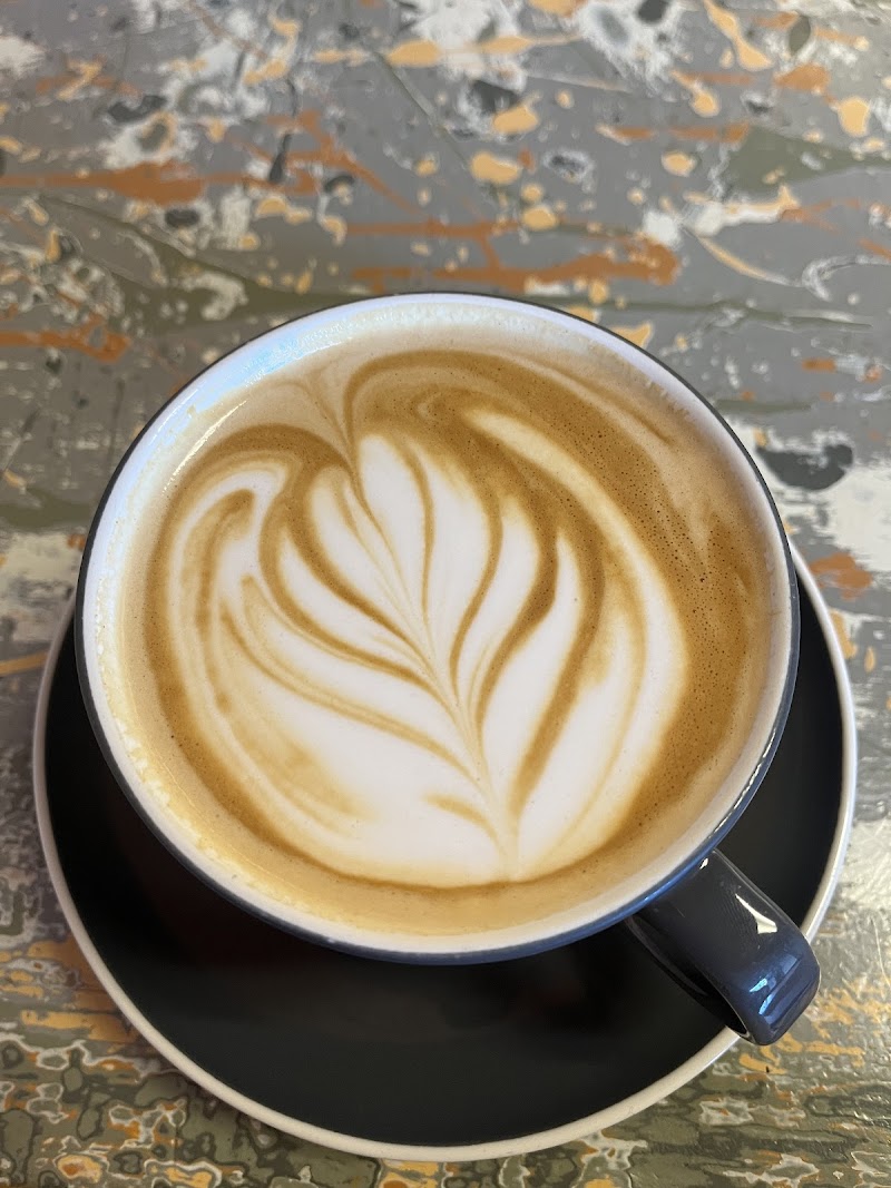 Dos Gatos Coffee Bar