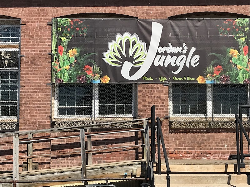 Jordan's Jungle