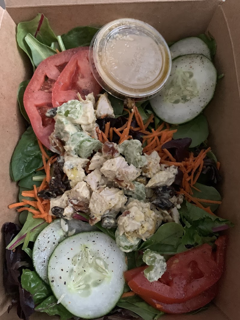 Living Vine Organic Cafe