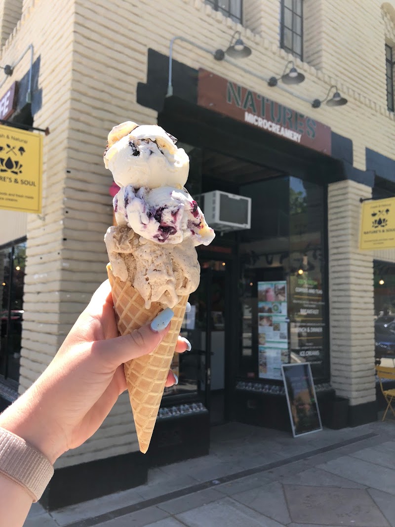 Nature’s Organic Ice Cream - Fremont