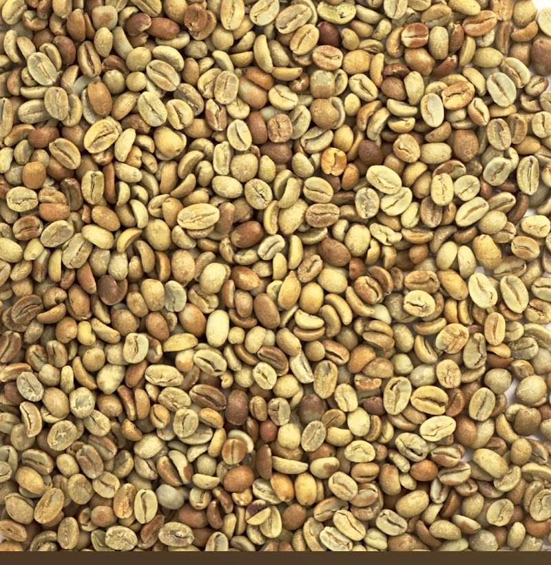 Brillo Beans Roasting Co.