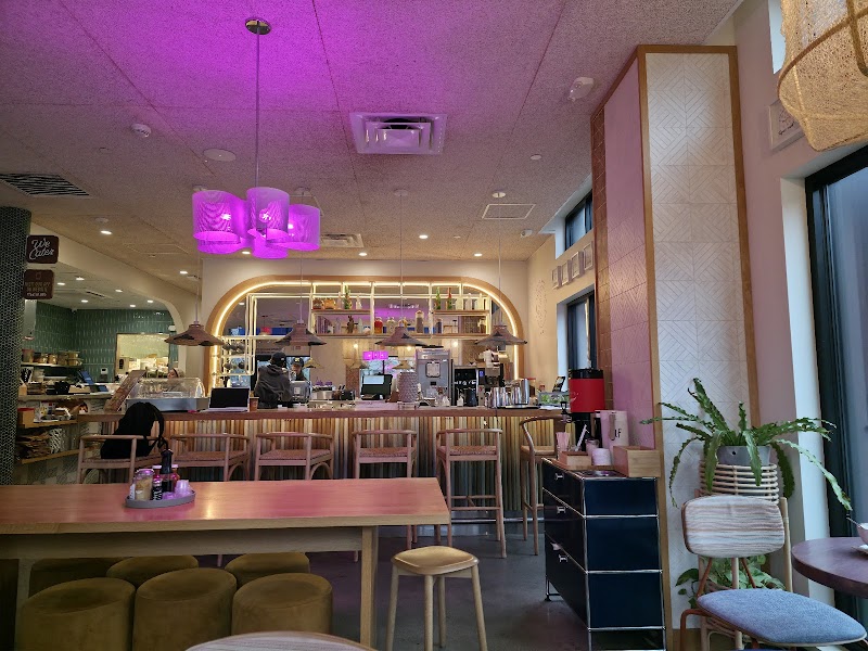 Life Alive Organic Cafe South End