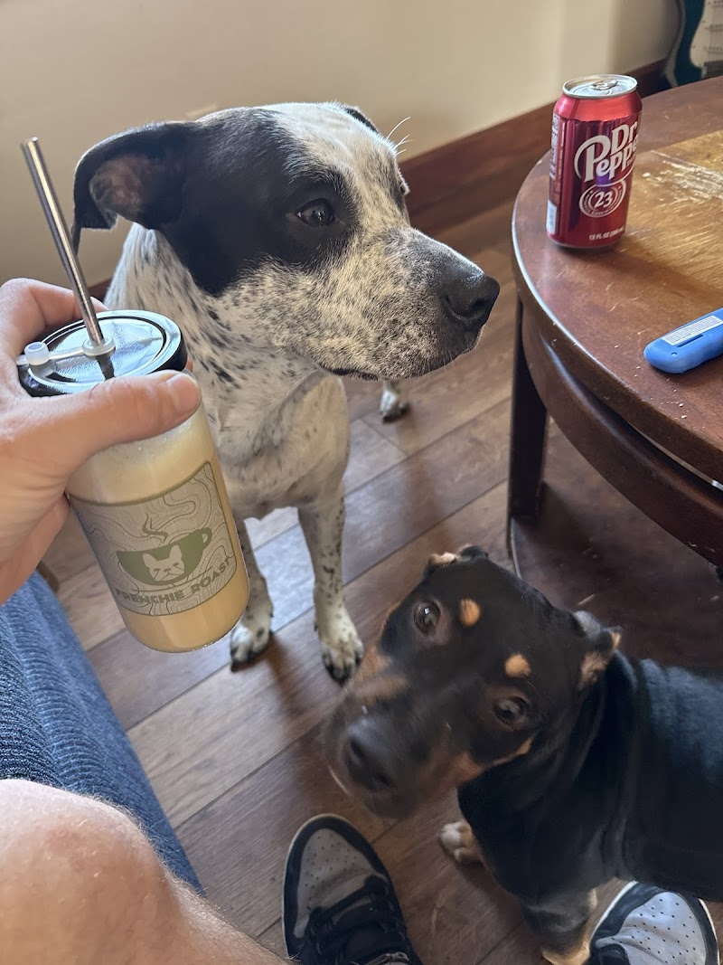 Frenchie Roast Headquarters