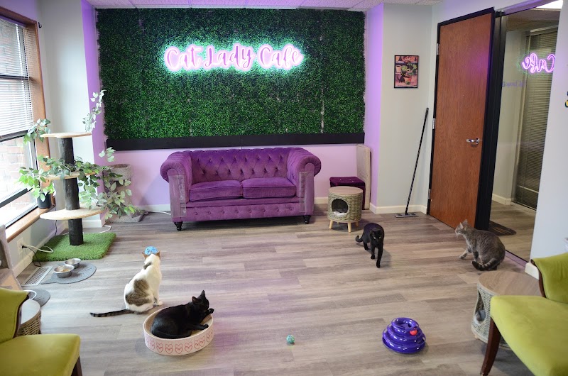 The Cat Lady Cafe South Bend