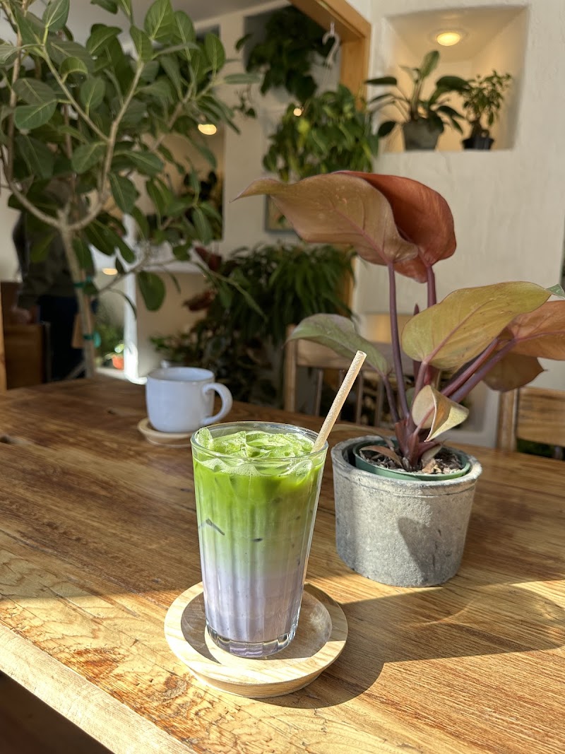 Amano Coffee & Plants