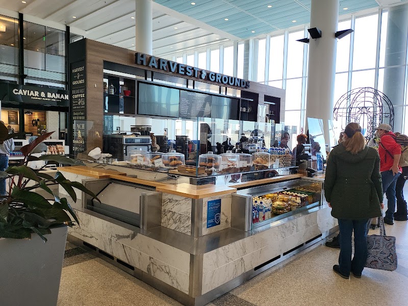 Harvest & Grounds Coffee & Bakery