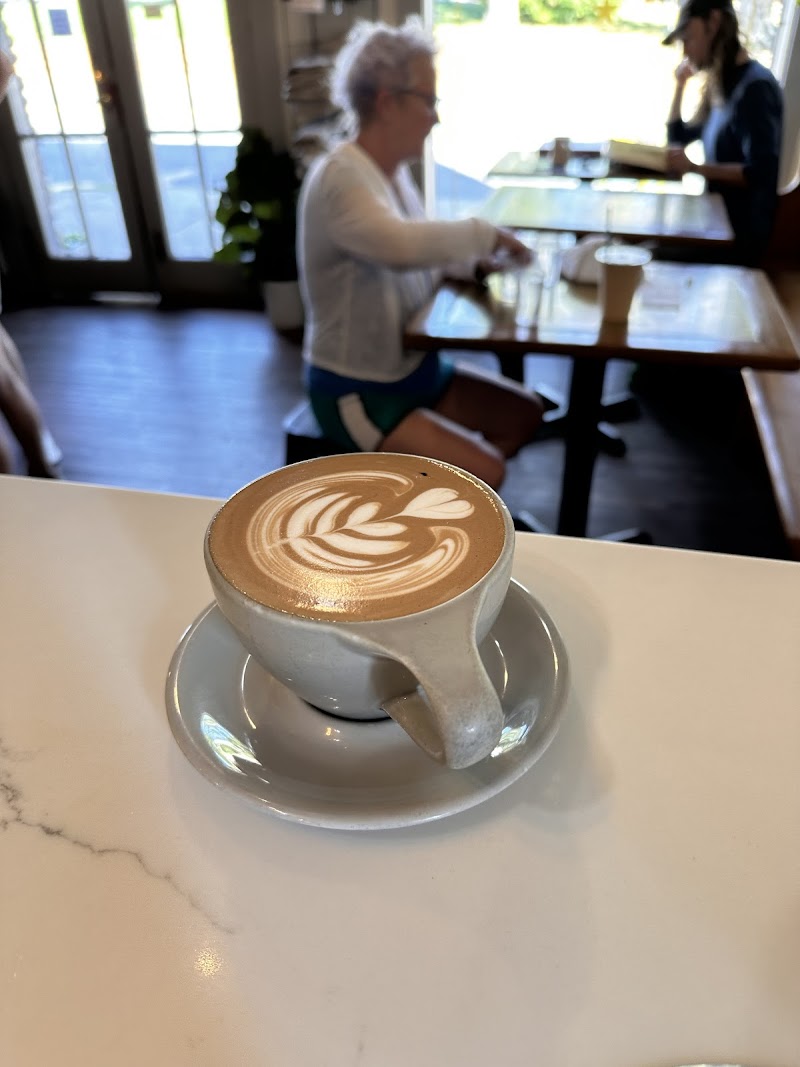 Dripolator East Asheville