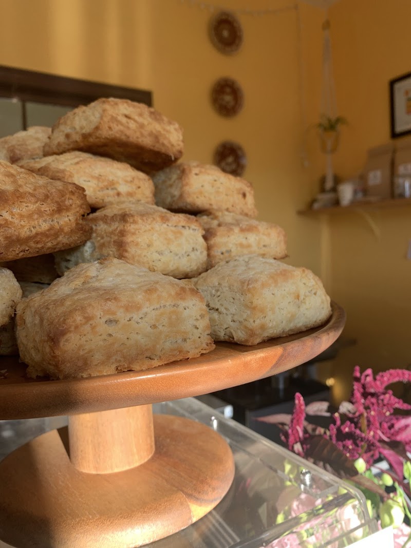 The Cup & Crooked Porch Coffee