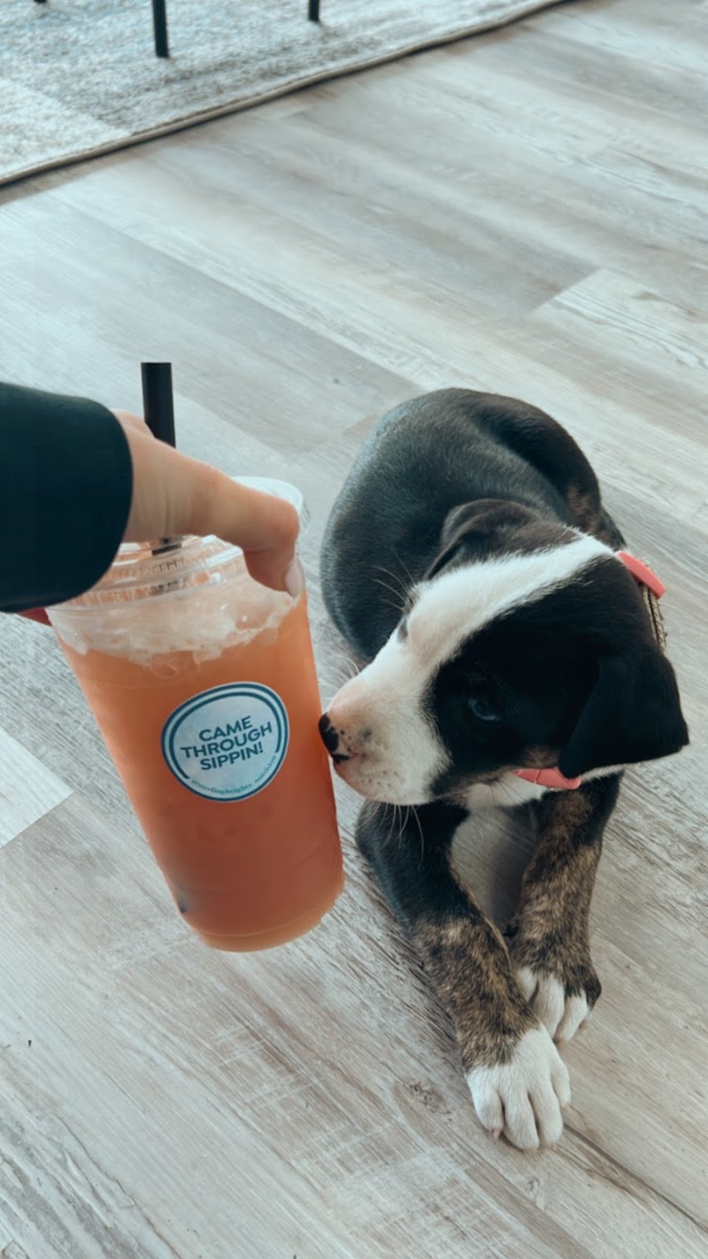 Sterling Heights Nutrition & Energy