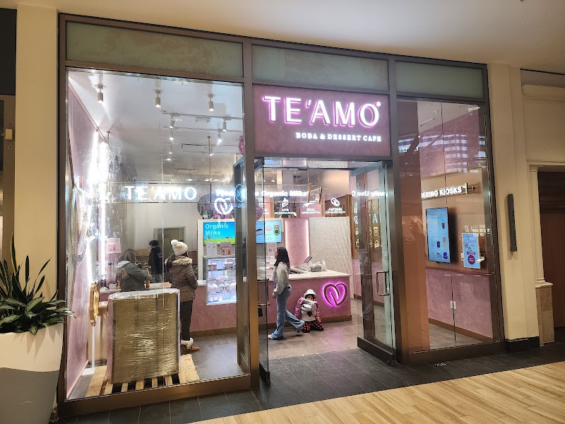 TE'AMO Boba & Dessert - Vernon Hills