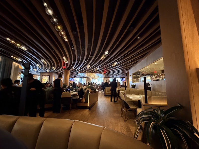 Cactus Club Cafe - Boston, MA | joe coffee