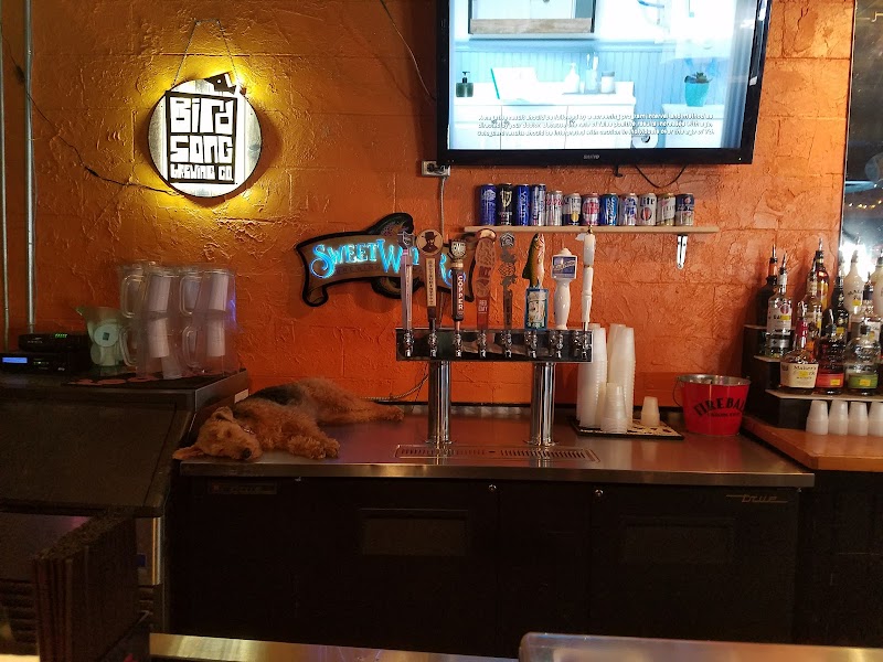 Dog Bar - Charlotte