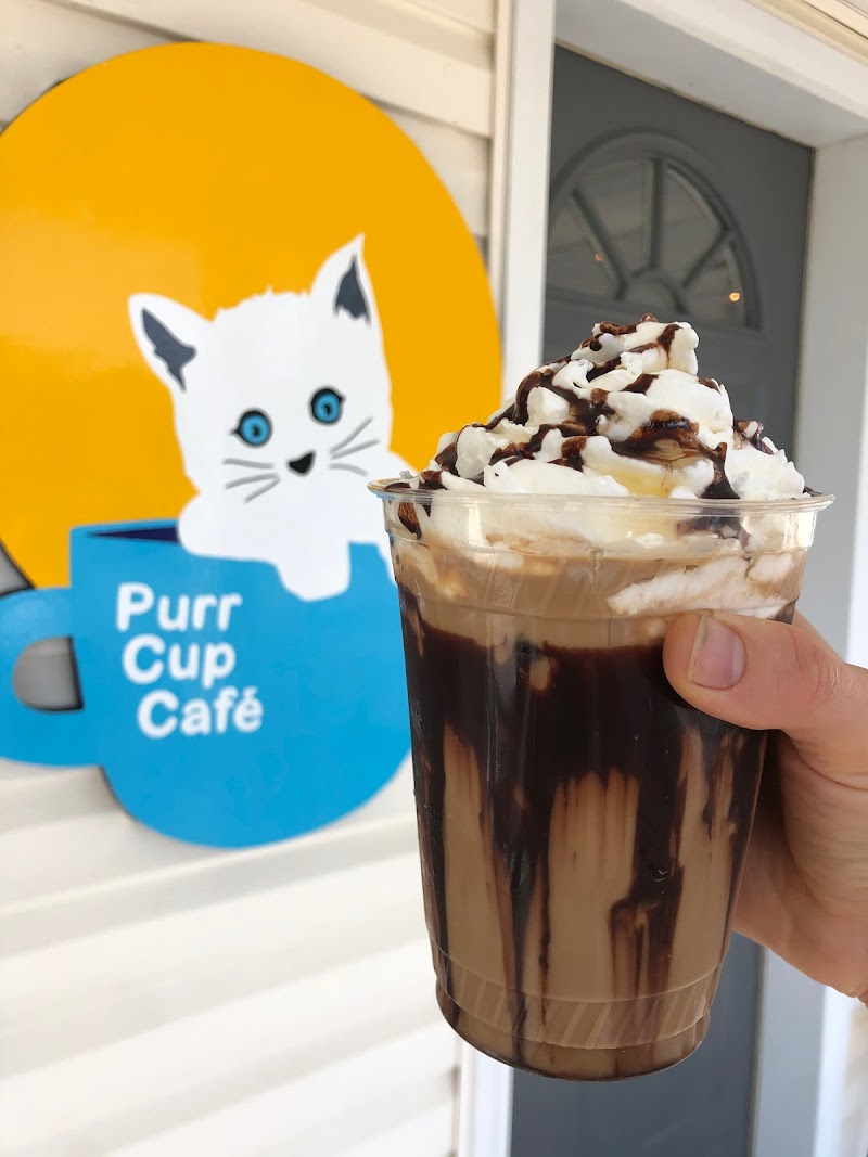 Purr Cup Cafe