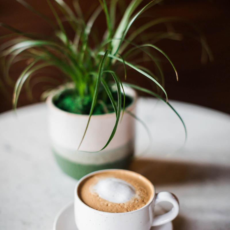 The Greenery: Coffee + Social Space