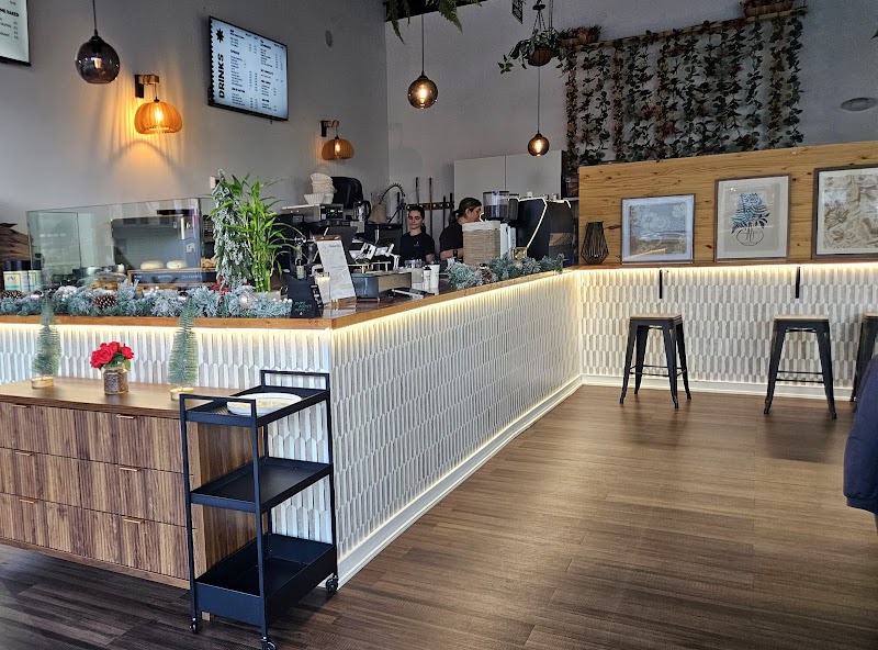 Aura Coffee Roasters