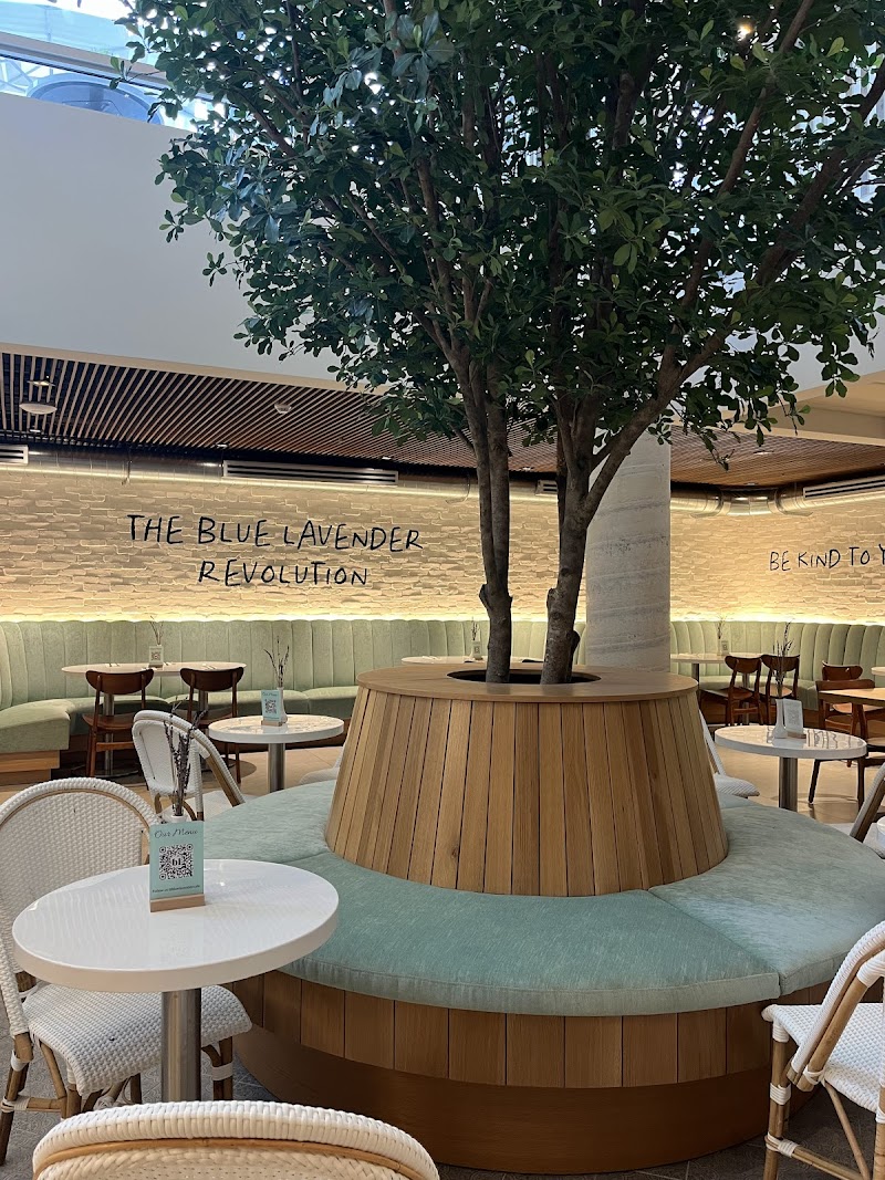Blue Lavender Cafe & Market