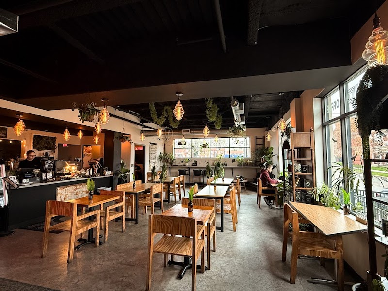 FLUID Coffee Roasters