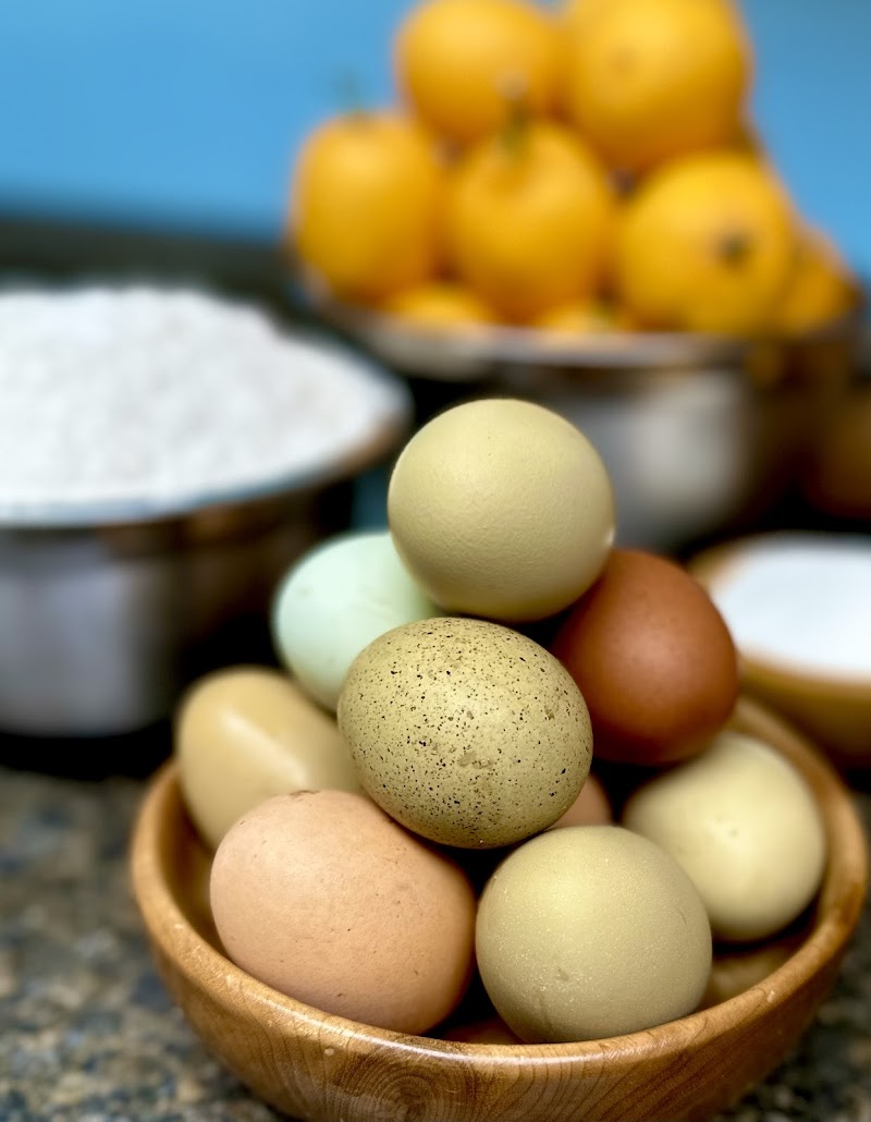 Blue Oak Coffee Roasting