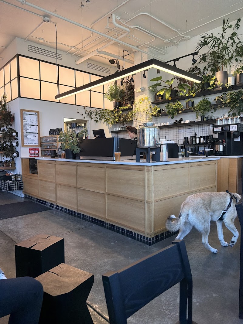 Elegy Coffee Germantown