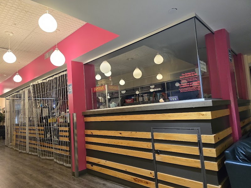 Boulder Public Library Cafe