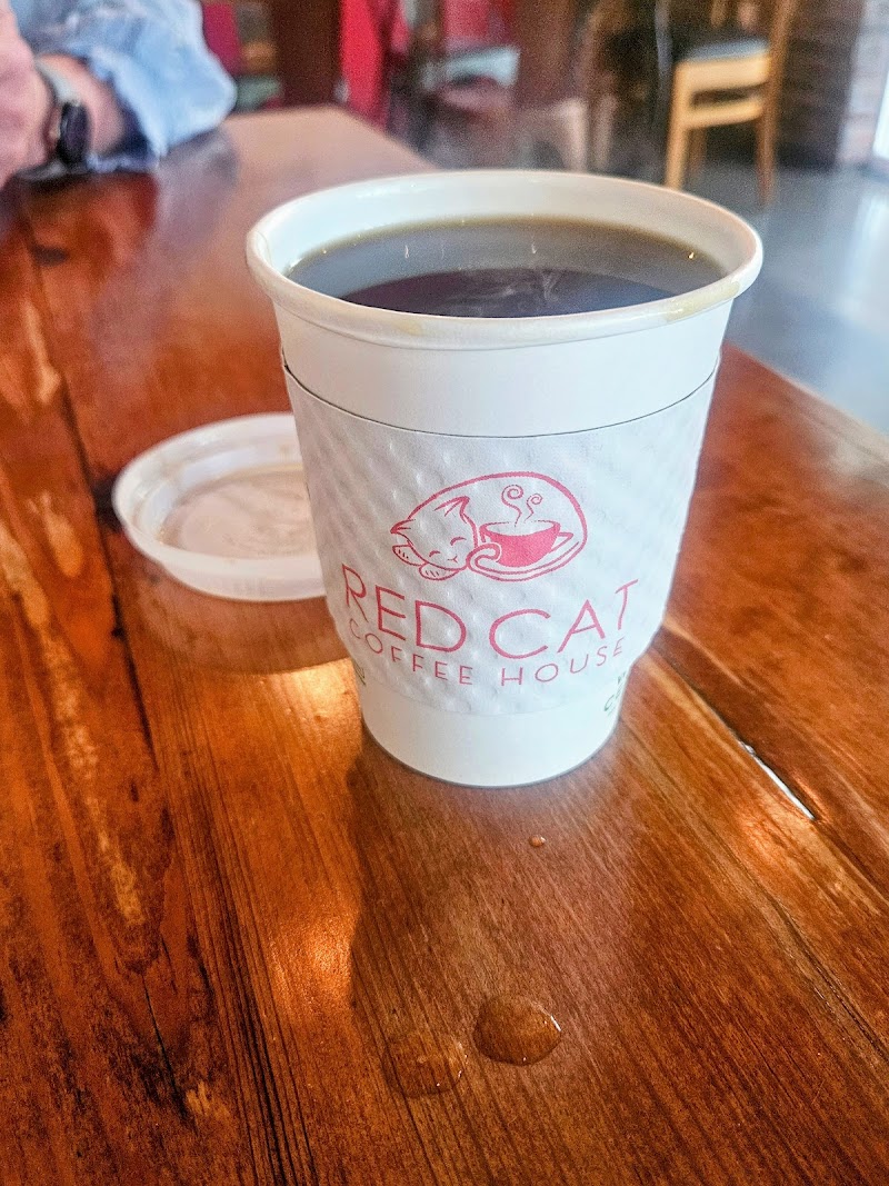 The Red Cat @ Railroad Park