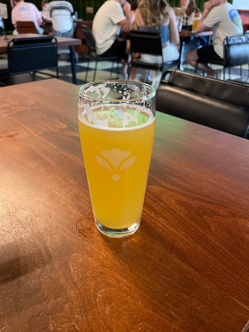 Bearded Iris Brewing