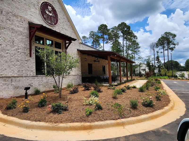 Well Red: Second Story