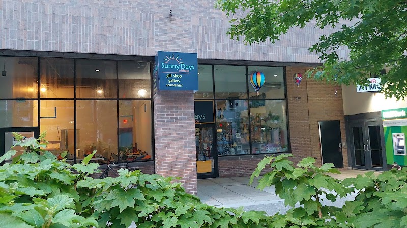 Sunny Days Of Ithaca