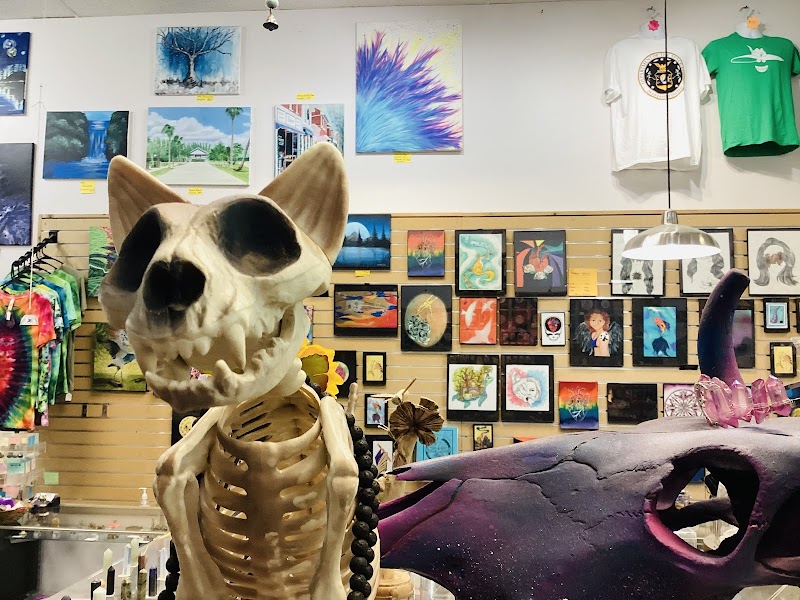 Sunny Days Of Ithaca