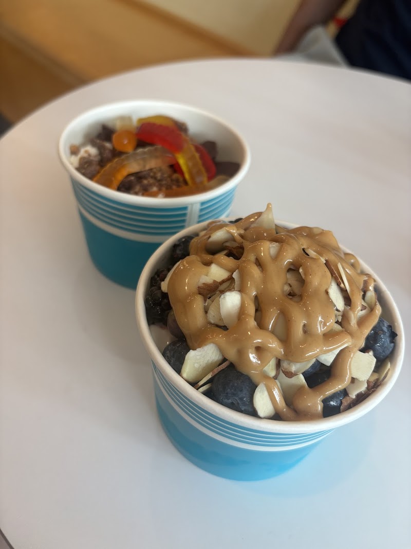 Yotopia Frozen Yogurt