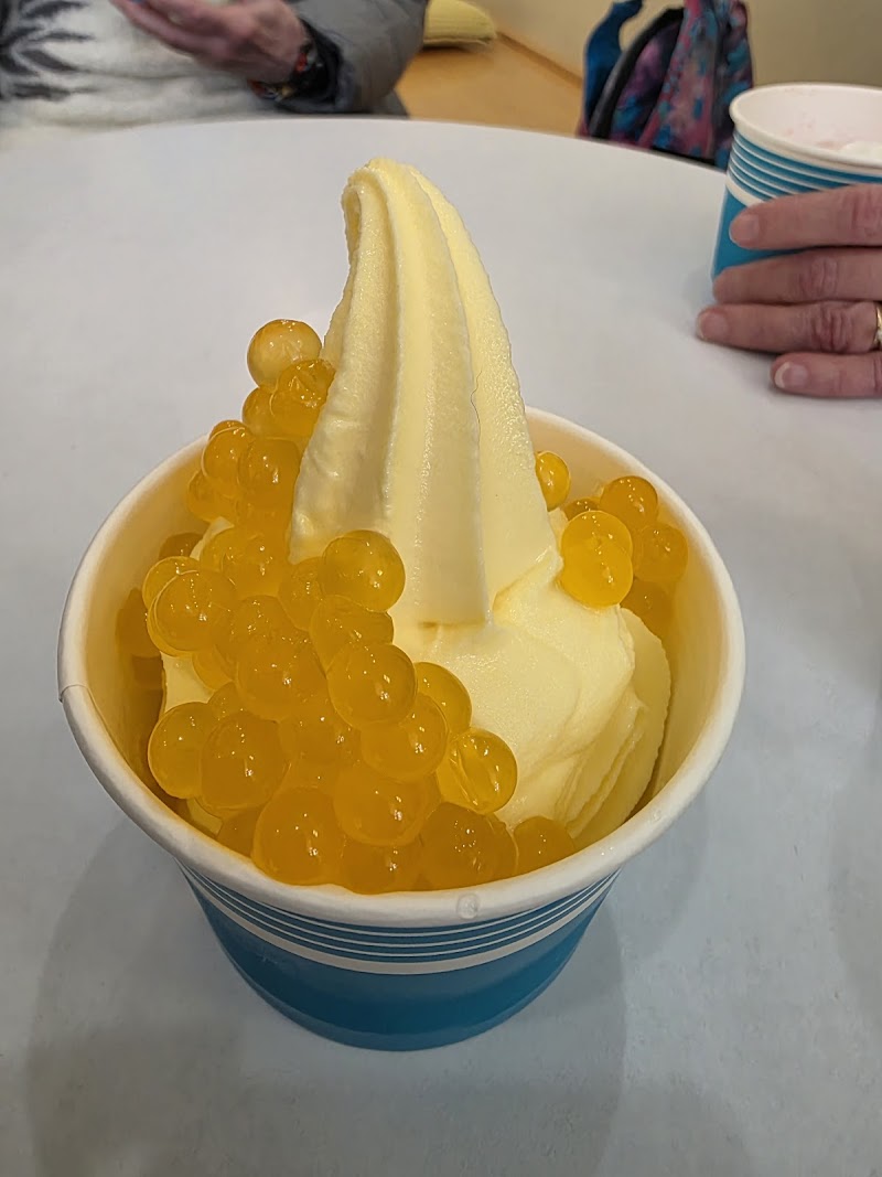 Yotopia Frozen Yogurt