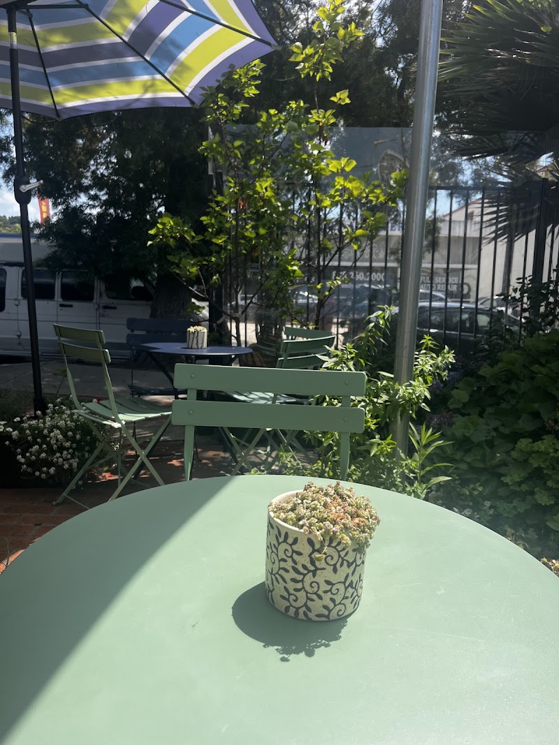 Cup of Bloom La Jolla