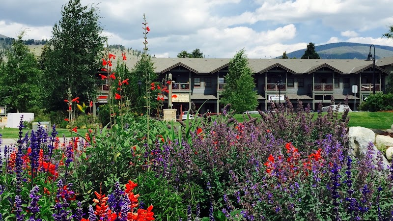 Red Buffalo Coffee & Tea