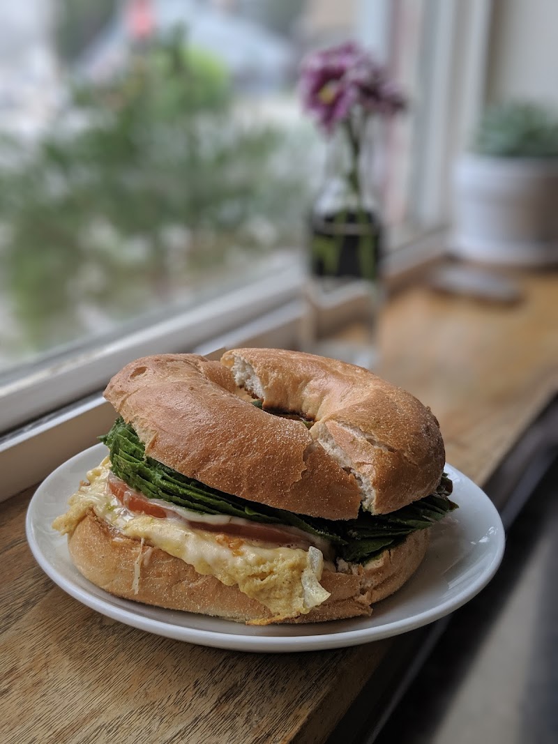 Higher Grounds Coffee House