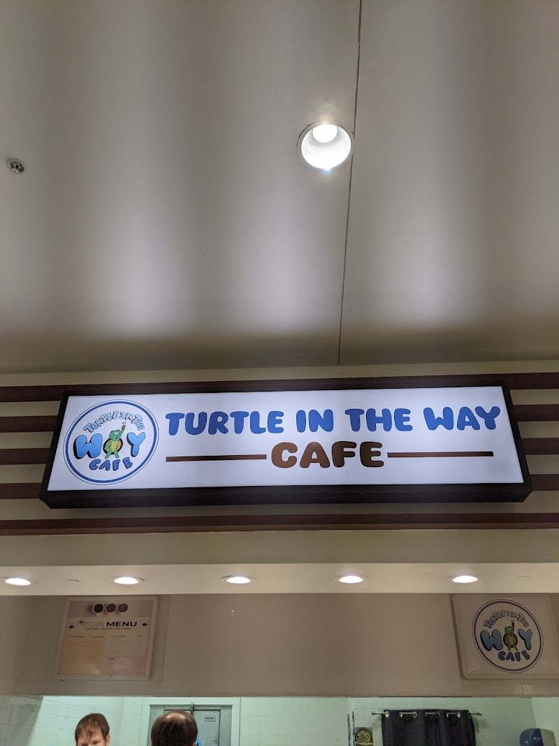 Turtle in the Way cafe