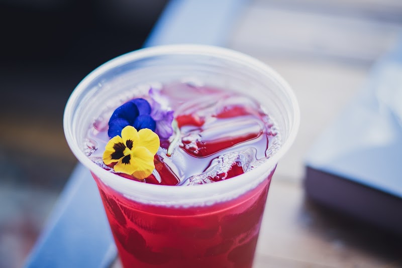 Semilla Cafe + Studio