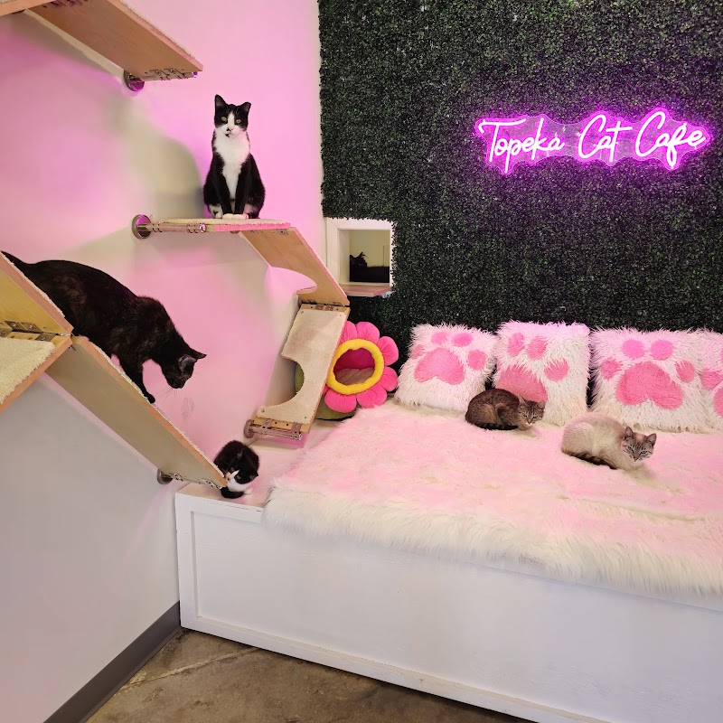 Topeka Cat Cafe