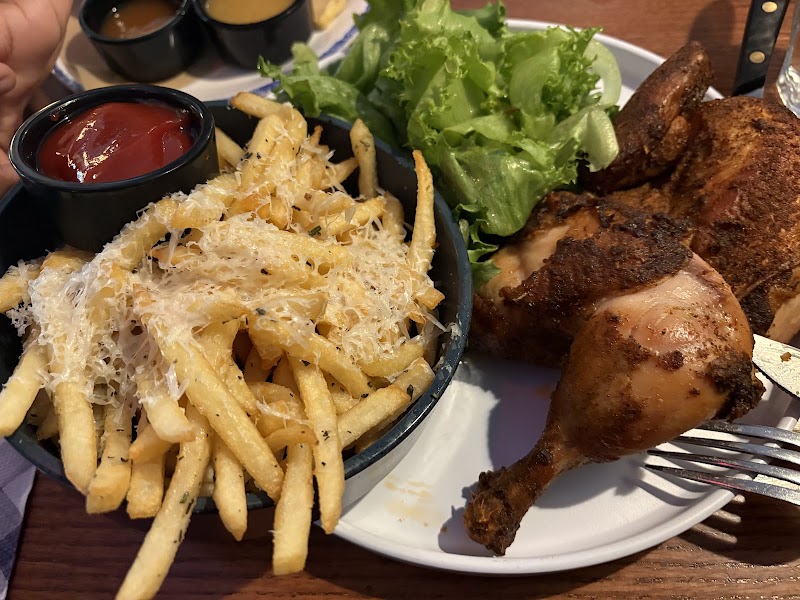 Shy Bird - South Boston