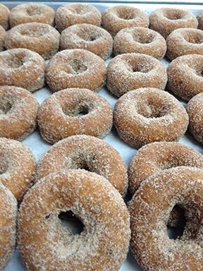 Plasko's Farm Creamery & Cafe