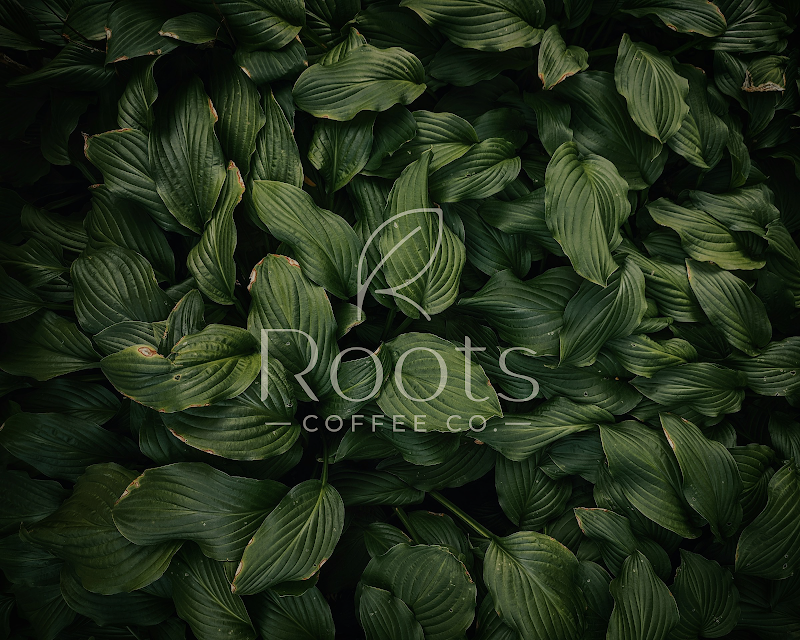 Roots Coffee Co.