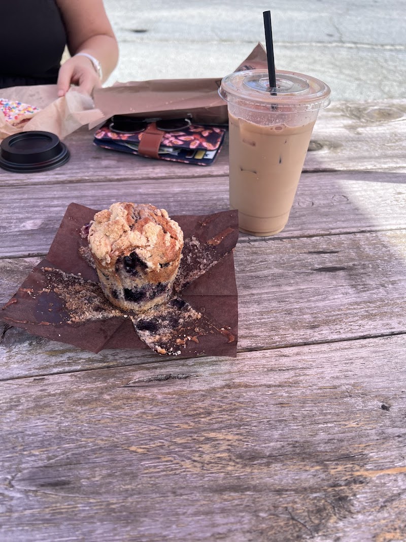 Black Bear Coffee Co.