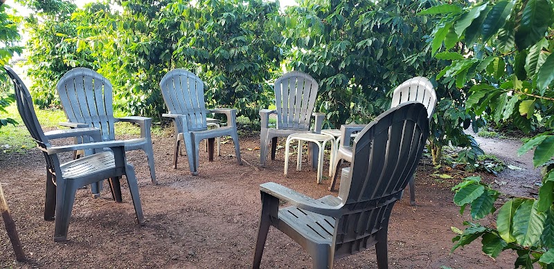 Green World Coffee Farm