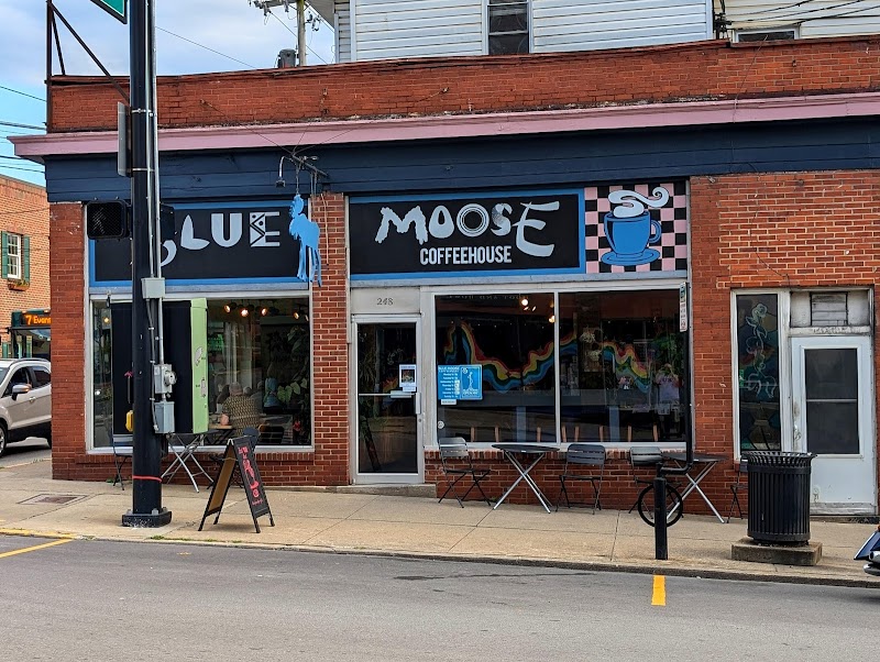Blue Moose Coffeehouse
