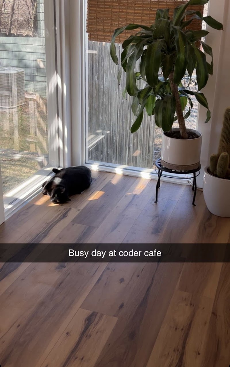 Coder’s Cat Cafe