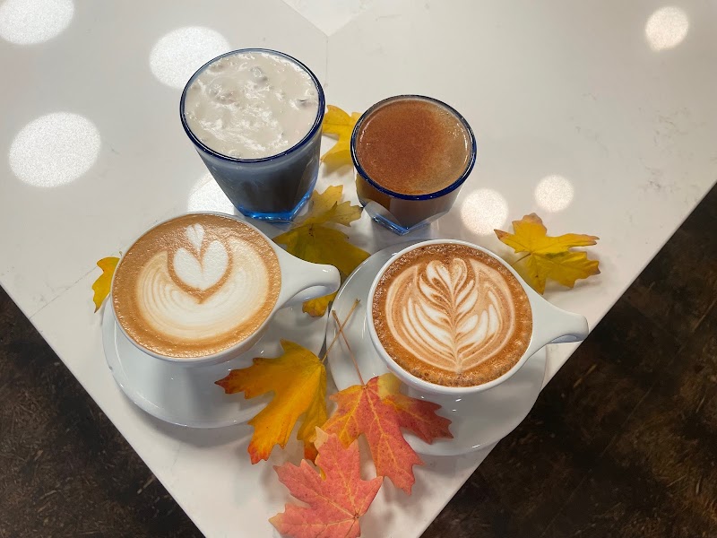 Terrain Coffee Project