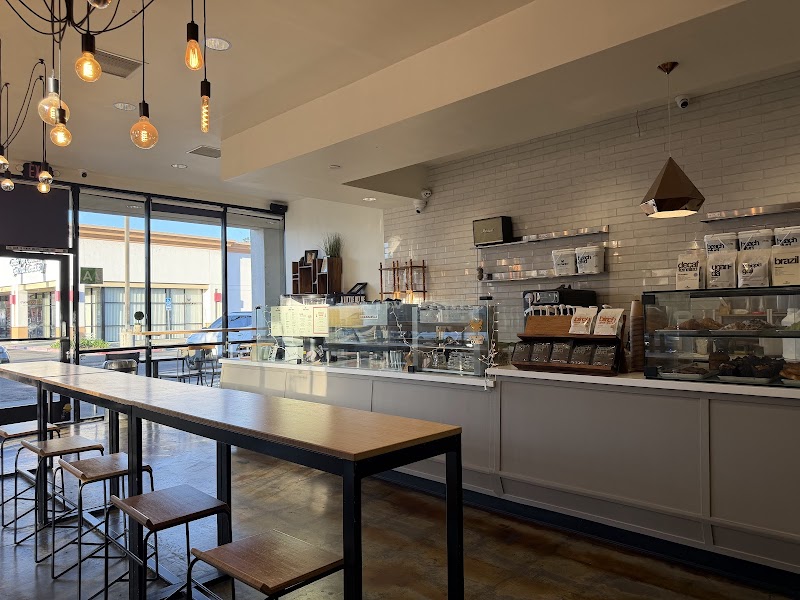 Enchanted Coffee Bar