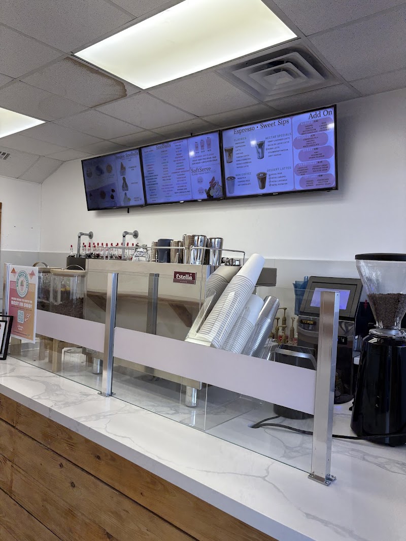 nectar ice (snoballs • softserve • coffee)